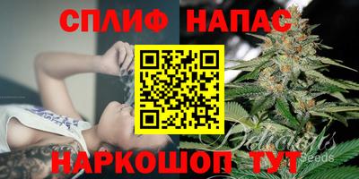 apvp Гусиноозёрск