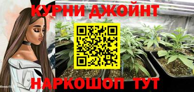 apvp Гусиноозёрск